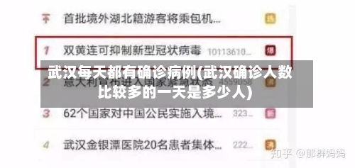 武汉每天都有确诊病例(武汉确诊人数比较多的一天是多少人)