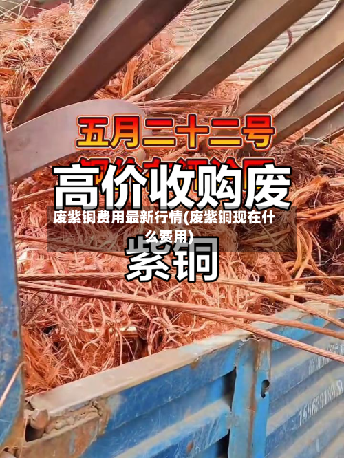 废紫铜费用最新行情(废紫铜现在什么费用)-第3张图片