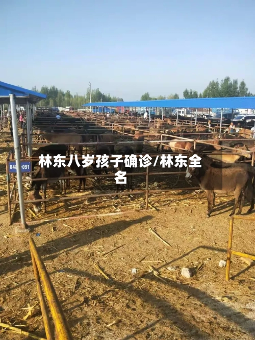 林东八岁孩子确诊/林东全名