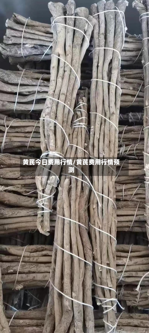 黄芪今日费用行情/黄芪费用行情预测