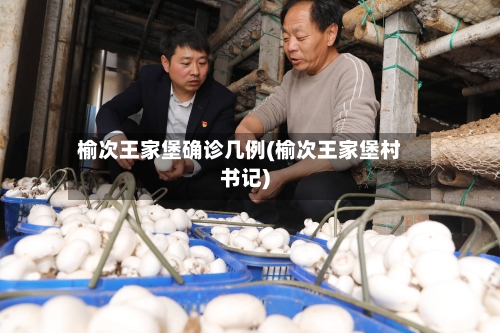 榆次王家堡确诊几例(榆次王家堡村书记)-第2张图片
