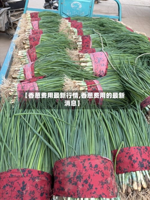 【香葱费用最新行情,香葱费用的最新消息】-第2张图片