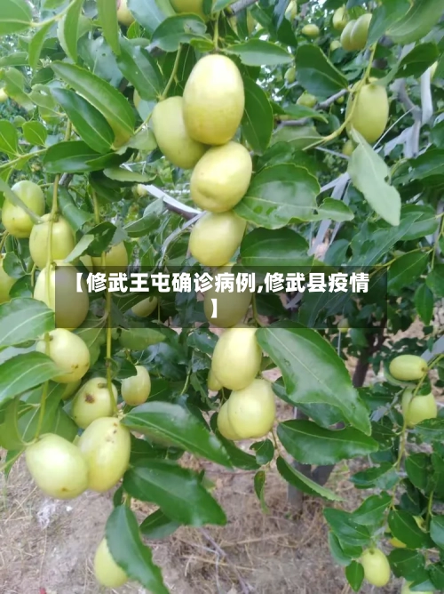 【修武王屯确诊病例,修武县疫情】-第2张图片