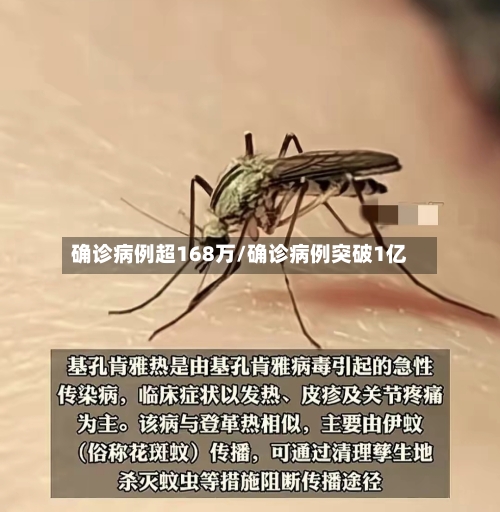 确诊病例超168万/确诊病例突破1亿