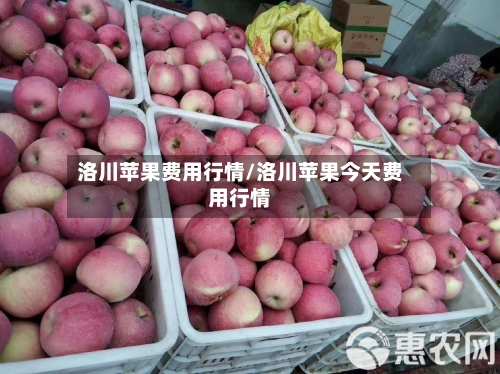 洛川苹果费用行情/洛川苹果今天费用行情