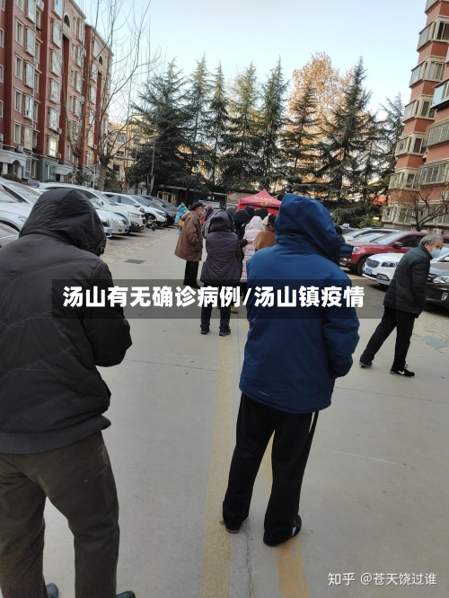 汤山有无确诊病例/汤山镇疫情