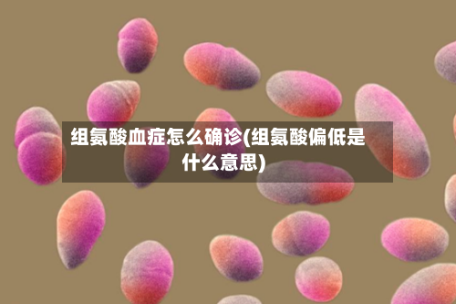 组氨酸血症怎么确诊(组氨酸偏低是什么意思)-第2张图片