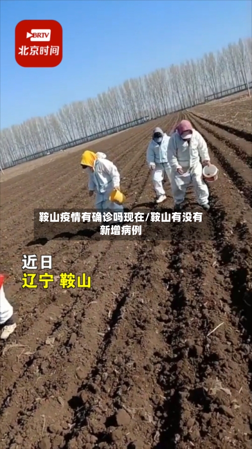 鞍山疫情有确诊吗现在/鞍山有没有新增病例