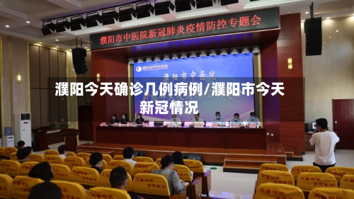 濮阳今天确诊几例病例/濮阳市今天新冠情况-第2张图片