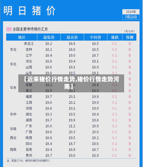 【近来猪价行情走势,猪价行情走势河南】